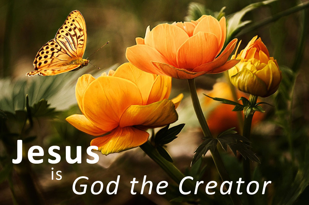 Jesus Is God The Creator